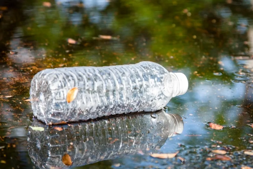 screenshot 20210919 131300