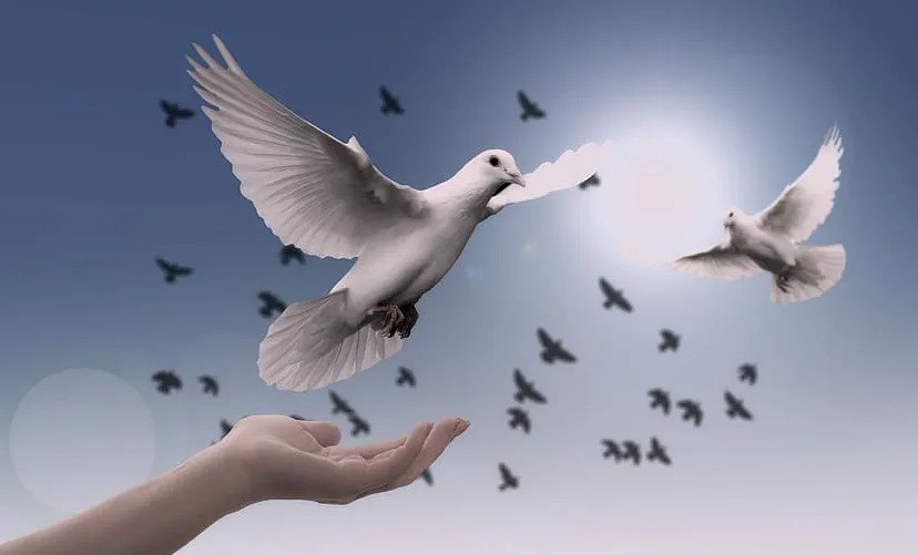 screenshot 20210927 083018