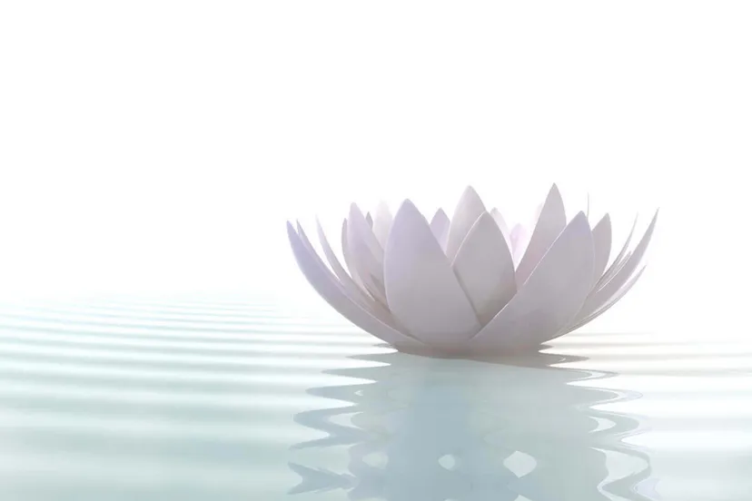 screenshot 20211004 083858