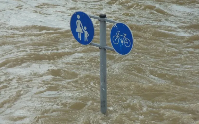 screenshot 20211006 155430 915x518 1