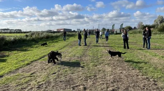 screenshot 20211008 095542