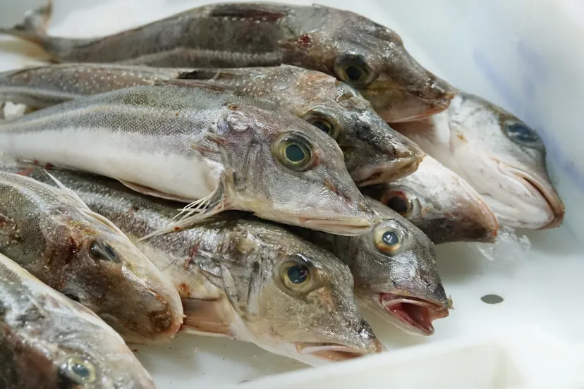 screenshot 20211008 112518