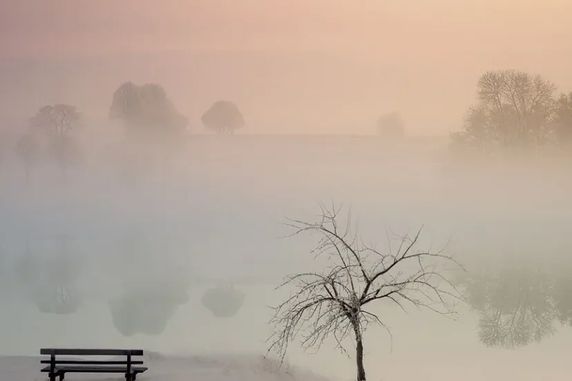 screenshot 20211010 090450