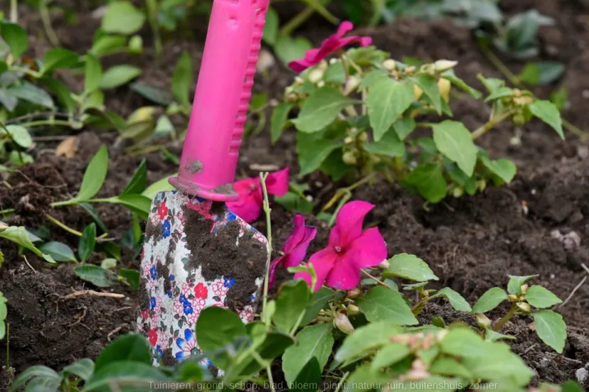 screenshot 20211013 083351