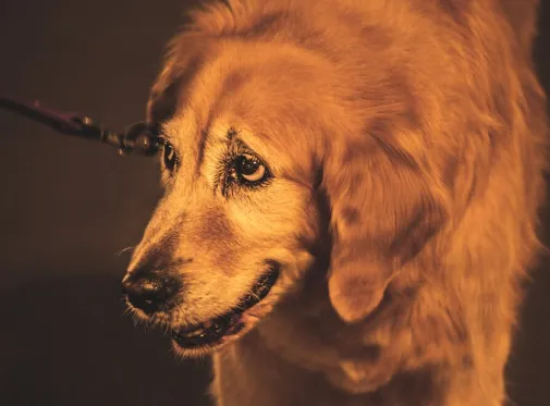 screenshot 20211013 153939