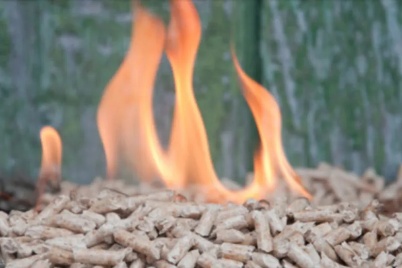 screenshot 20211014 111943