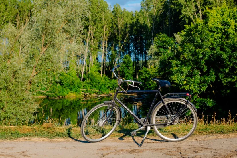 screenshot 20211014 154140