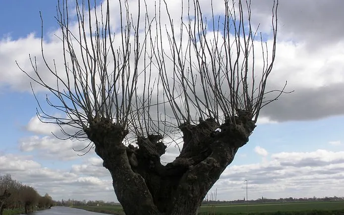 screenshot 20211023 145530