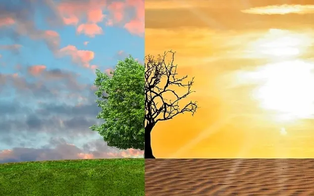 screenshot 20211028 112513