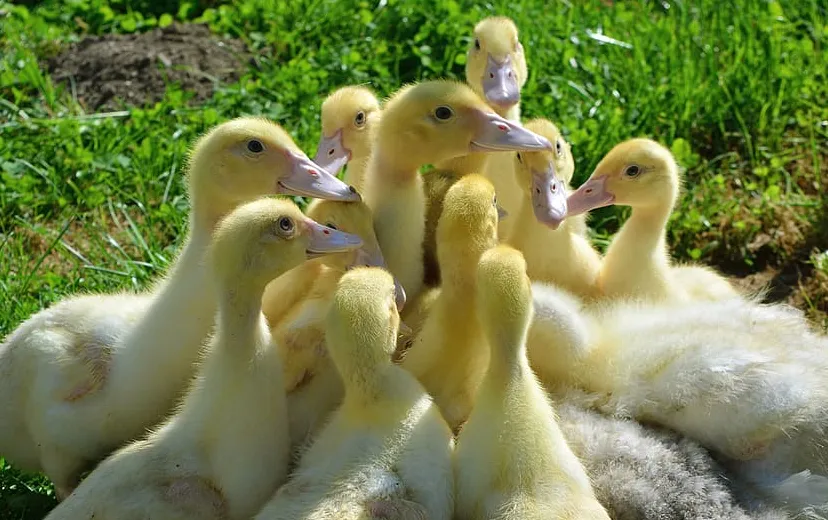 screenshot 20211102 081506