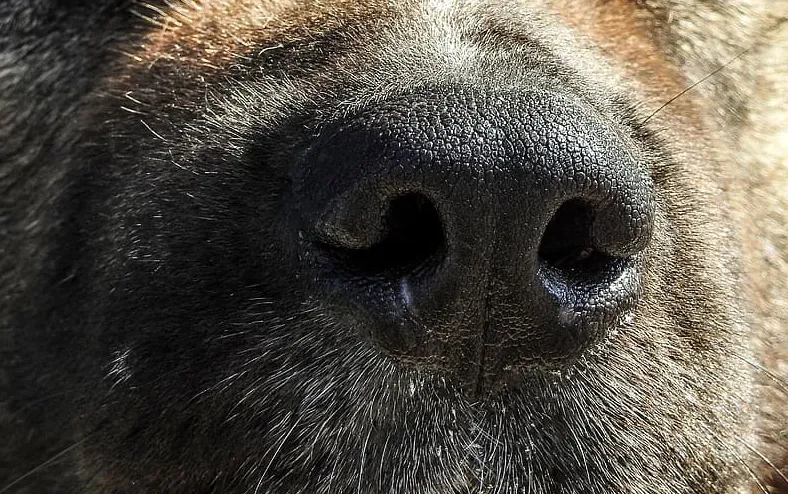 screenshot 20211107 125937