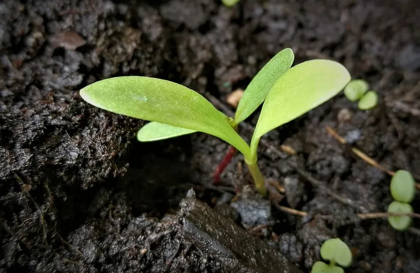 screenshot 20211109 121503