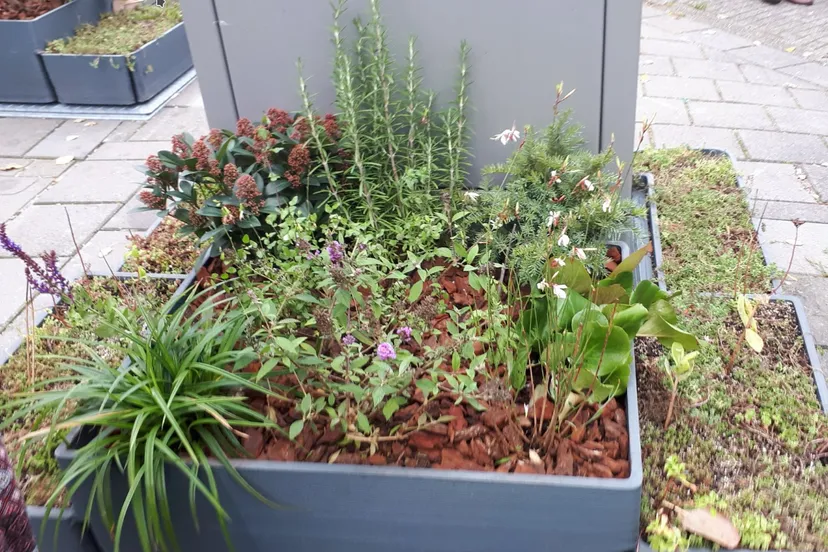 screenshot 20211114 140920