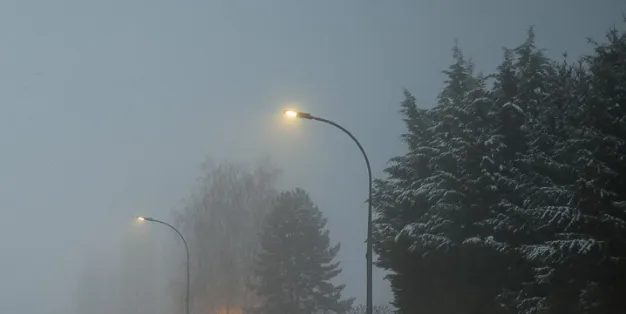 screenshot 20211117 152726