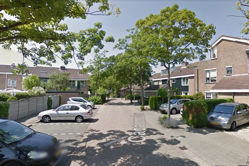 screenshot 20211127 131250