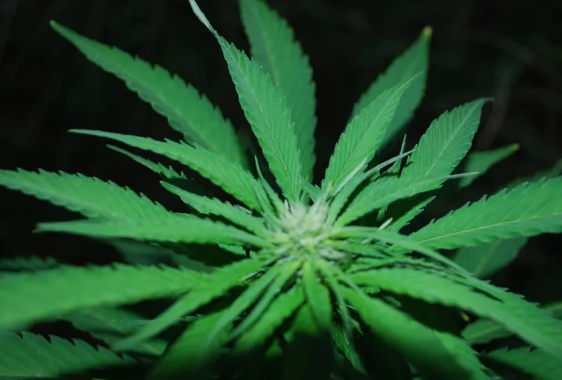 screenshot 20211202 113217