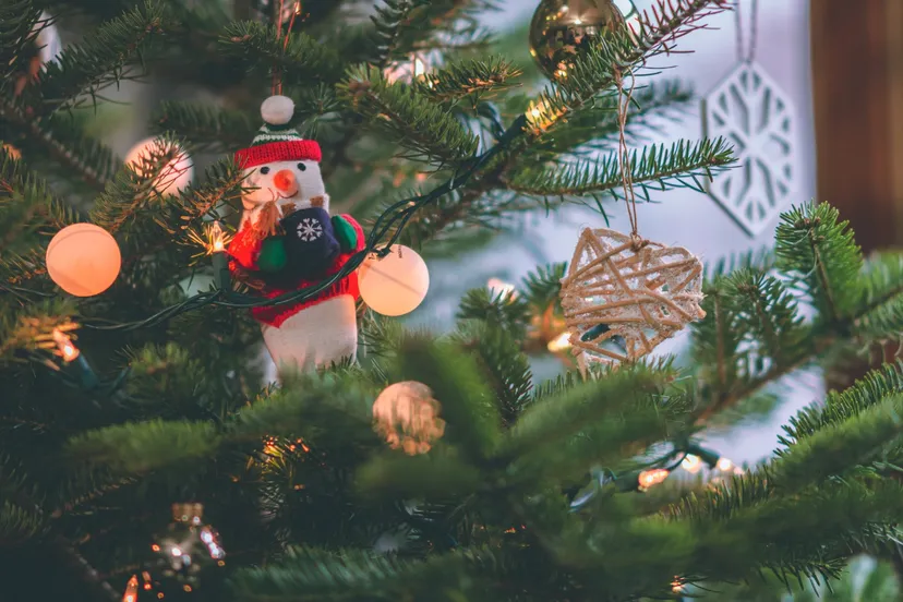 screenshot 20211204 110032