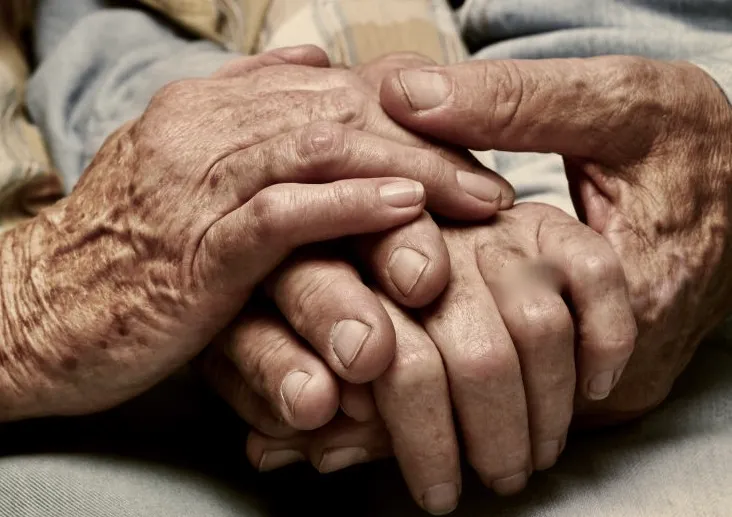 screenshot 20211206 114656