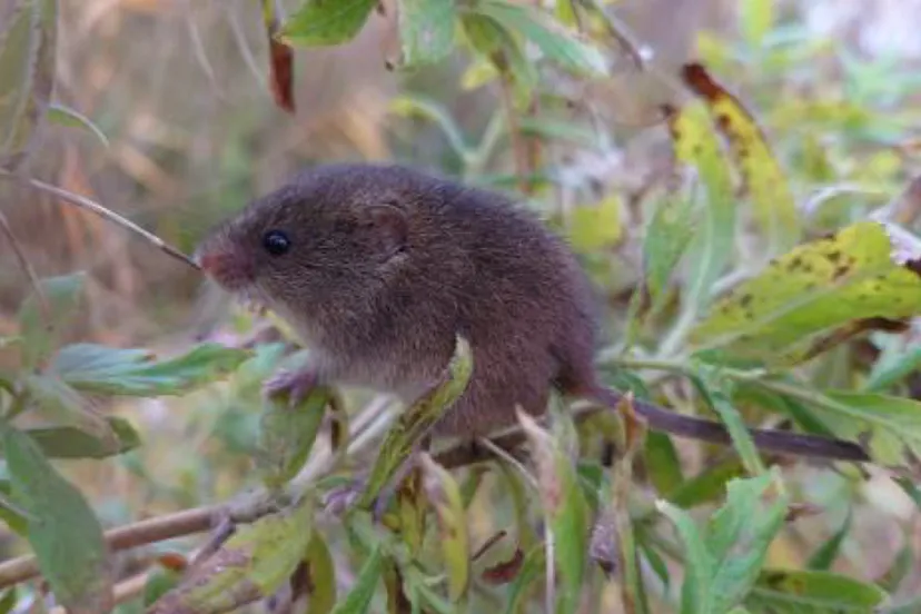 screenshot 20211214 123030