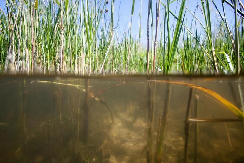 screenshot 20211216 112913