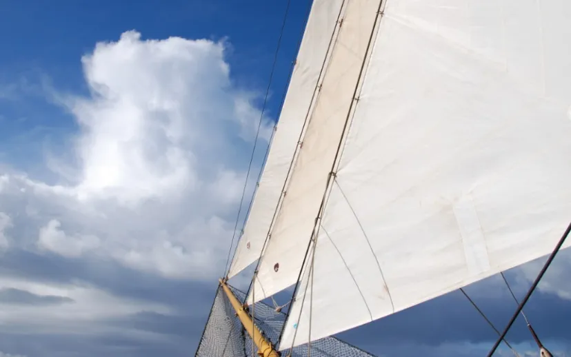 screenshot 20211217 141733 915x518 1