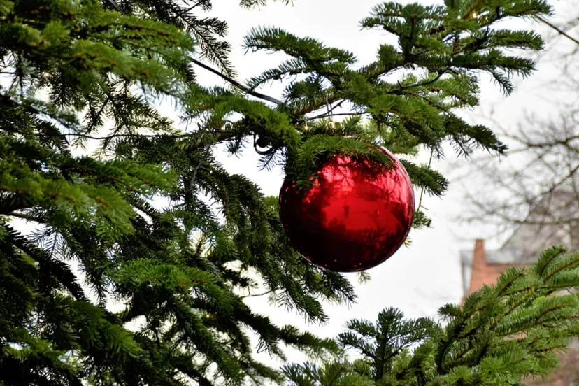 screenshot 20211221 090415