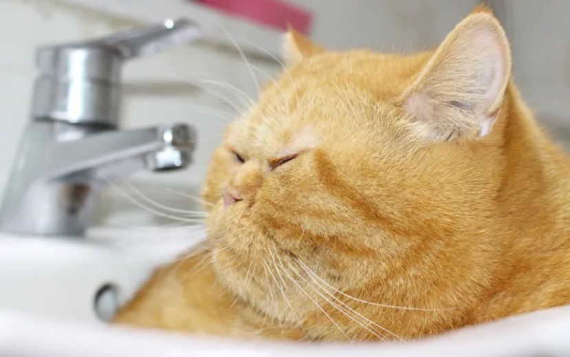 screenshot 20211222 102100 915x518 1