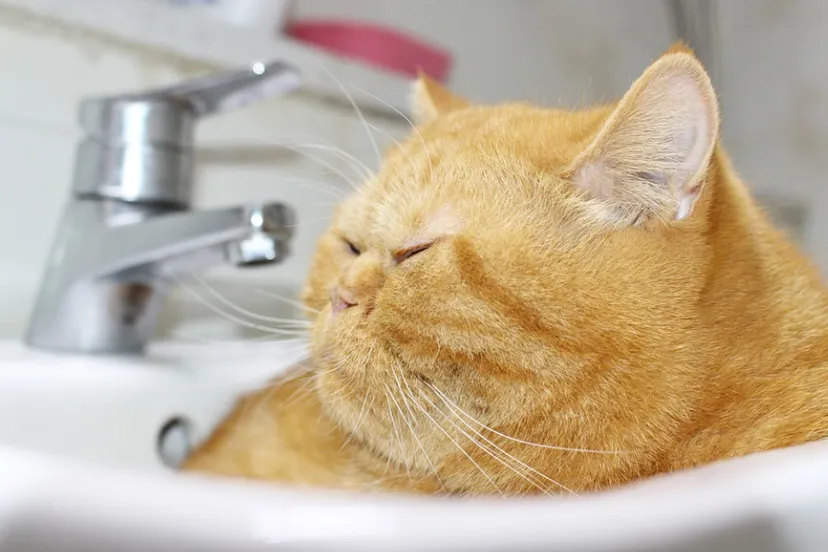 screenshot 20211222 102100