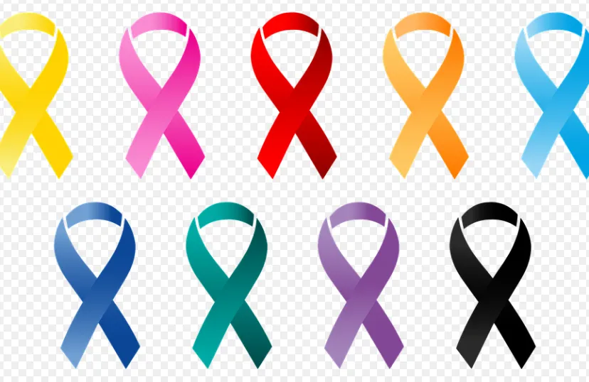 screenshot 20211229 151226