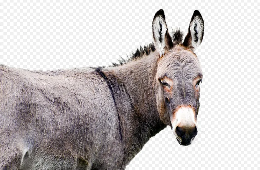 screenshot 20220110 172245