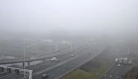 screenshot 20220113 044502