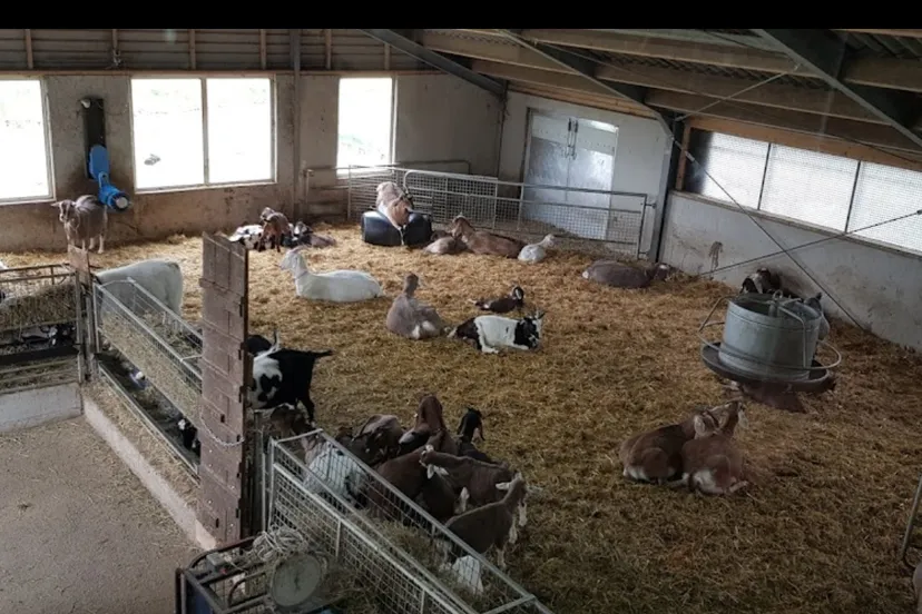 screenshot 20220117 123840