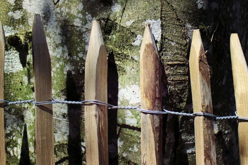 screenshot 20220122 141424