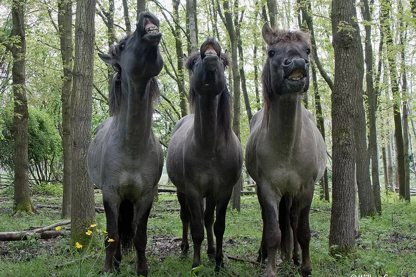 screenshot 20220128 124759