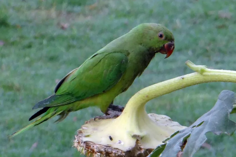 screenshot 20220201 104012