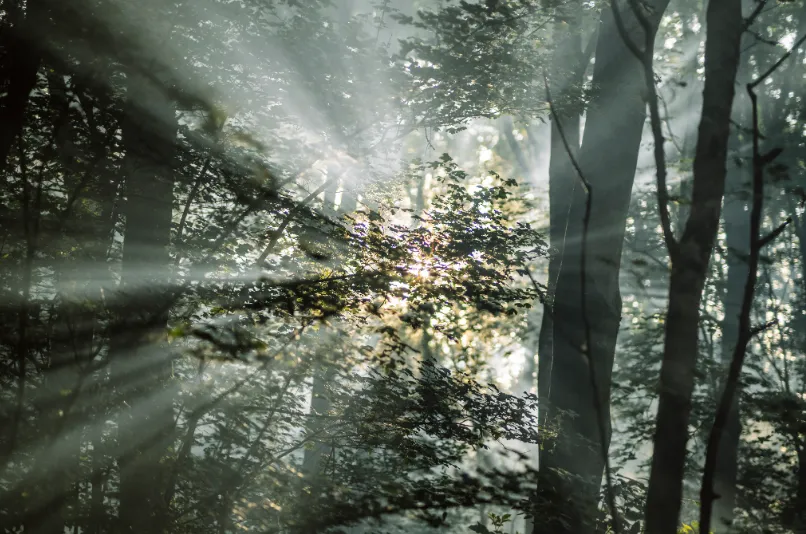 screenshot 20220202 121144