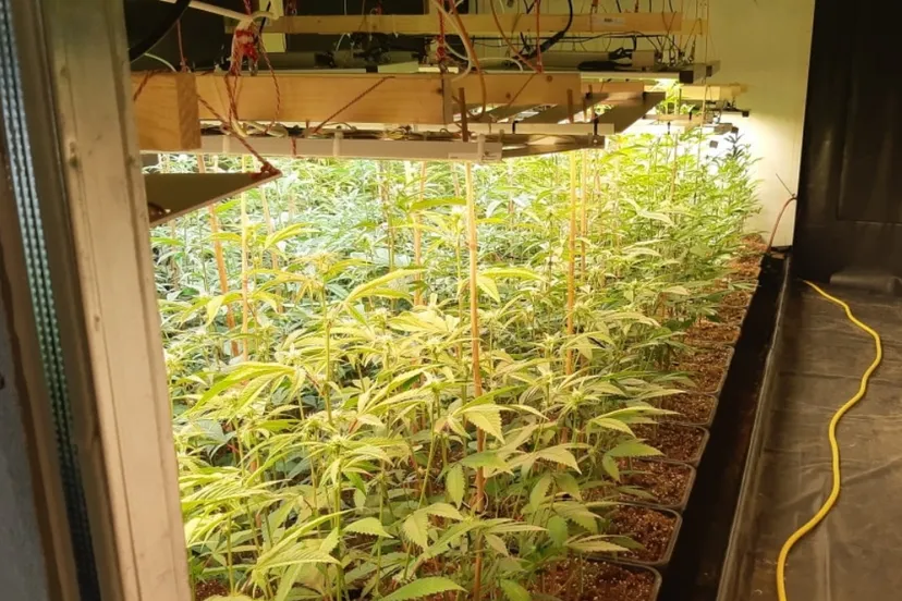 screenshot 20220203 084017