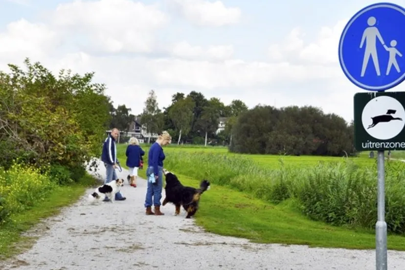 screenshot 20220208 110817