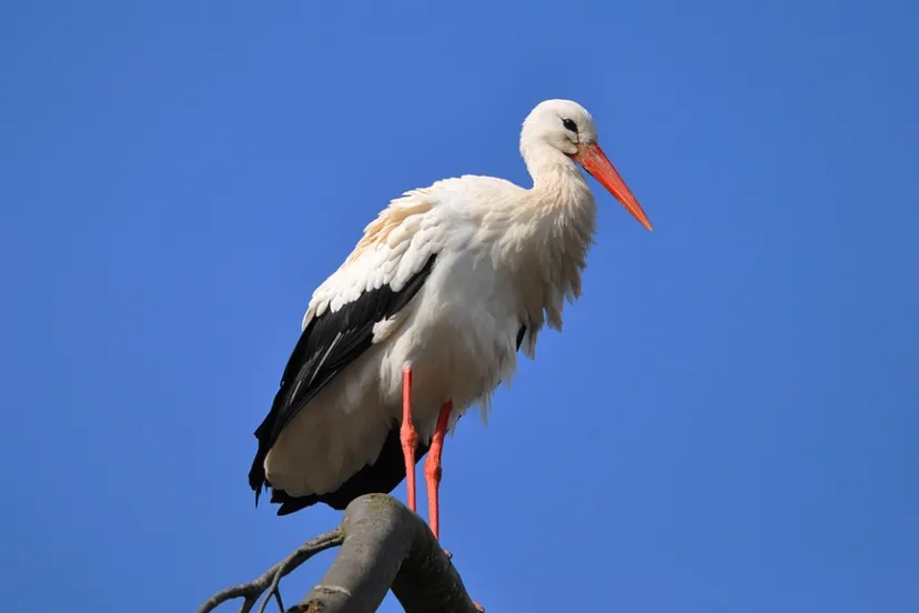 screenshot 20220210 101005