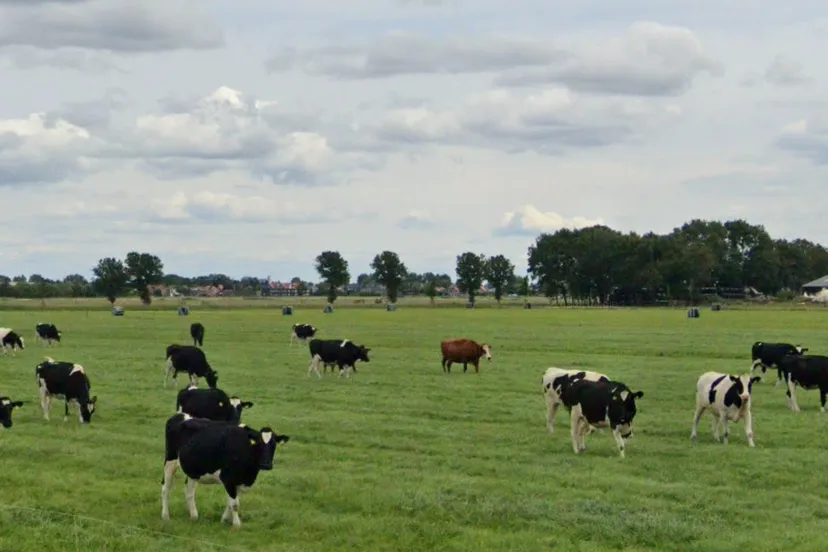 screenshot 20220213 153255