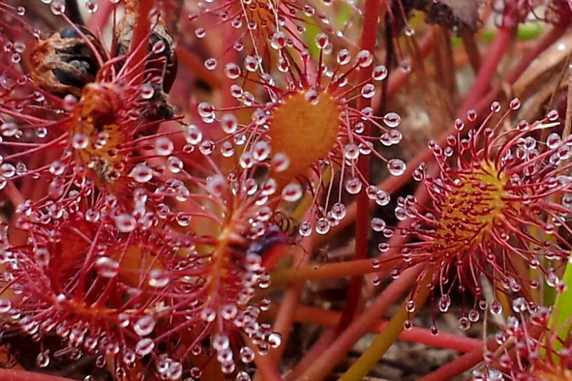 screenshot 20220214 100036