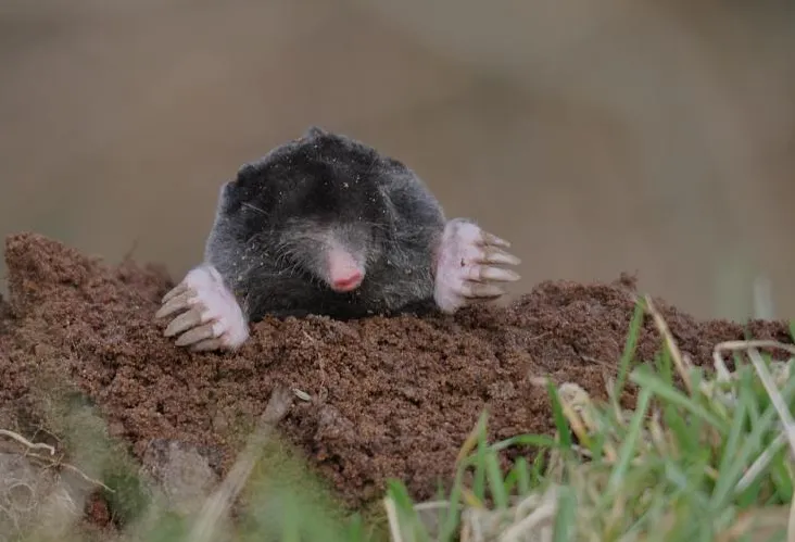 screenshot 20220215 132050