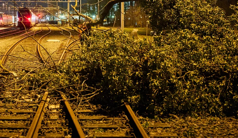 screenshot 20220219 105816