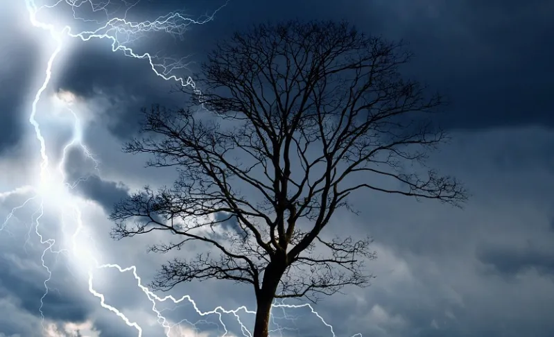 screenshot 20220220 163832