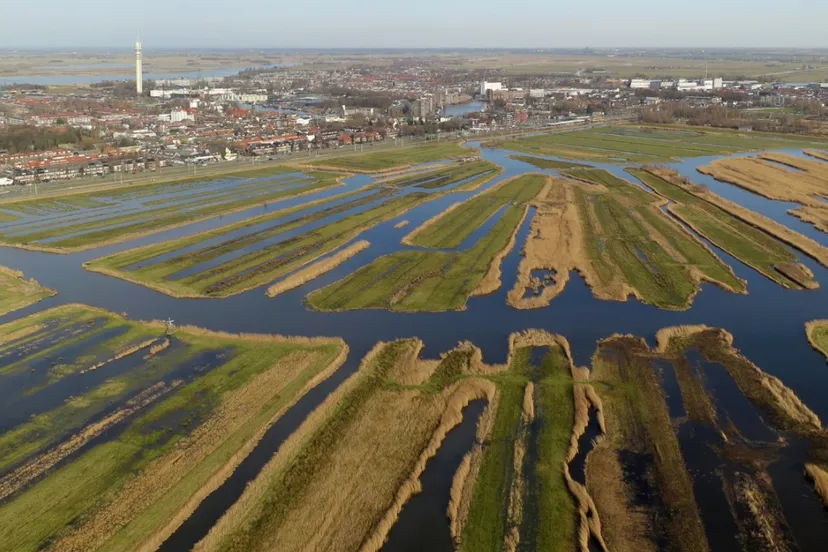 screenshot 20220223 125447