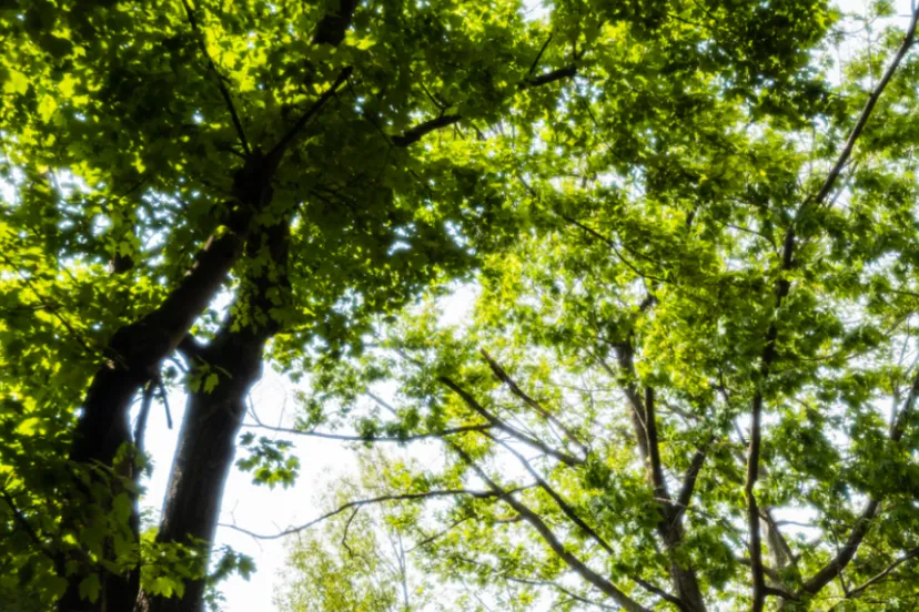 screenshot 20220224 084825