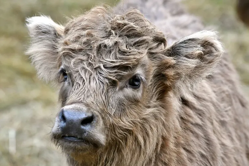 screenshot 20220301 155721