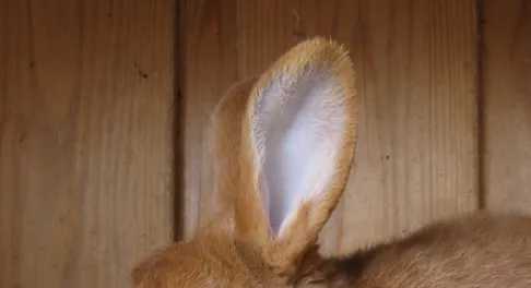 screenshot 20220306 140924