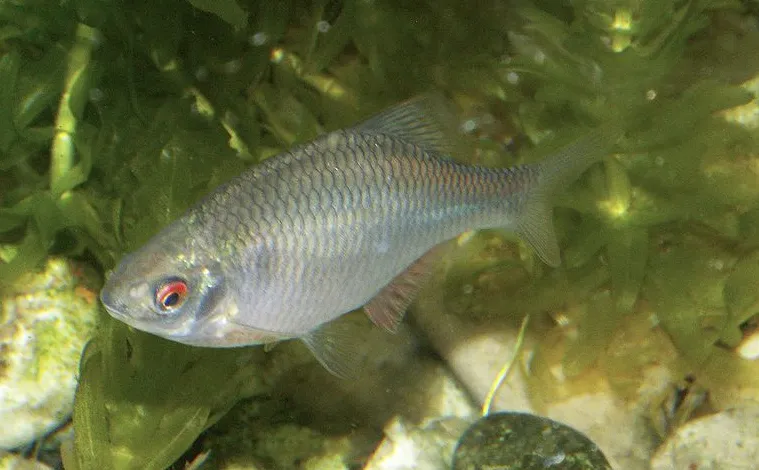 screenshot 20220308 124520