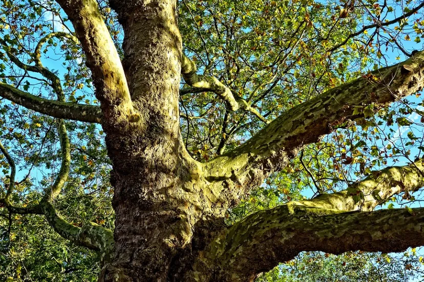 screenshot 20220311 092545